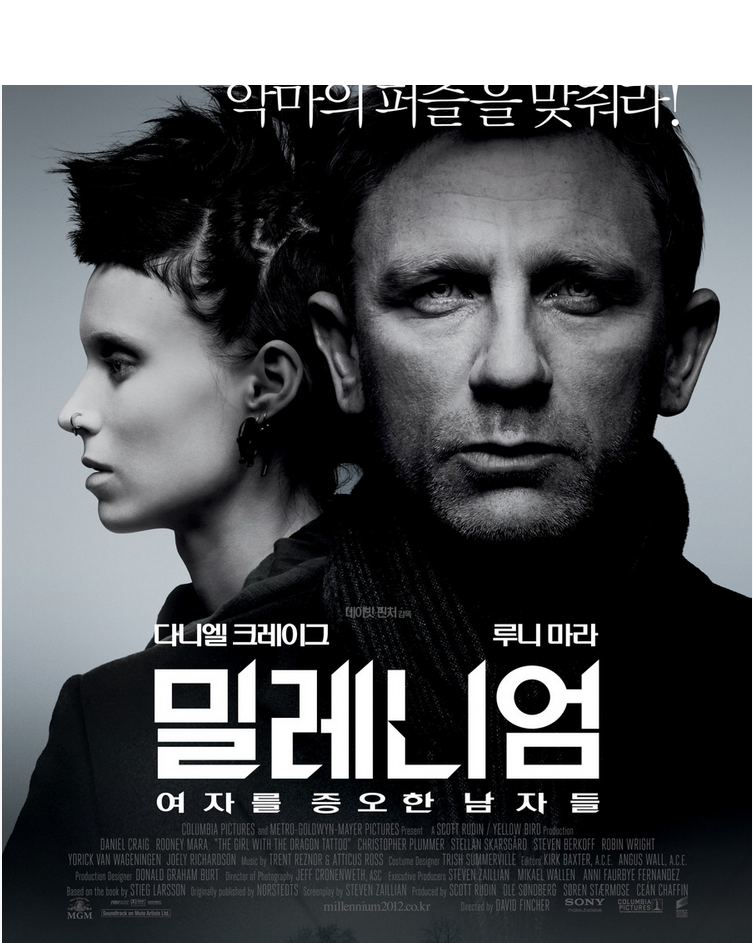 The.Girl.with.the.Dragon.Tattoo.2011.R5.XviD.AC3 ViSiON.png