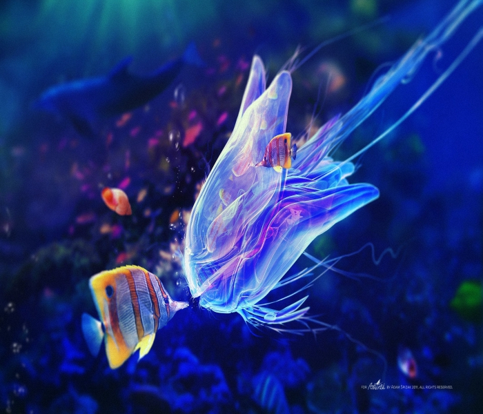 medusa (20).jpg
